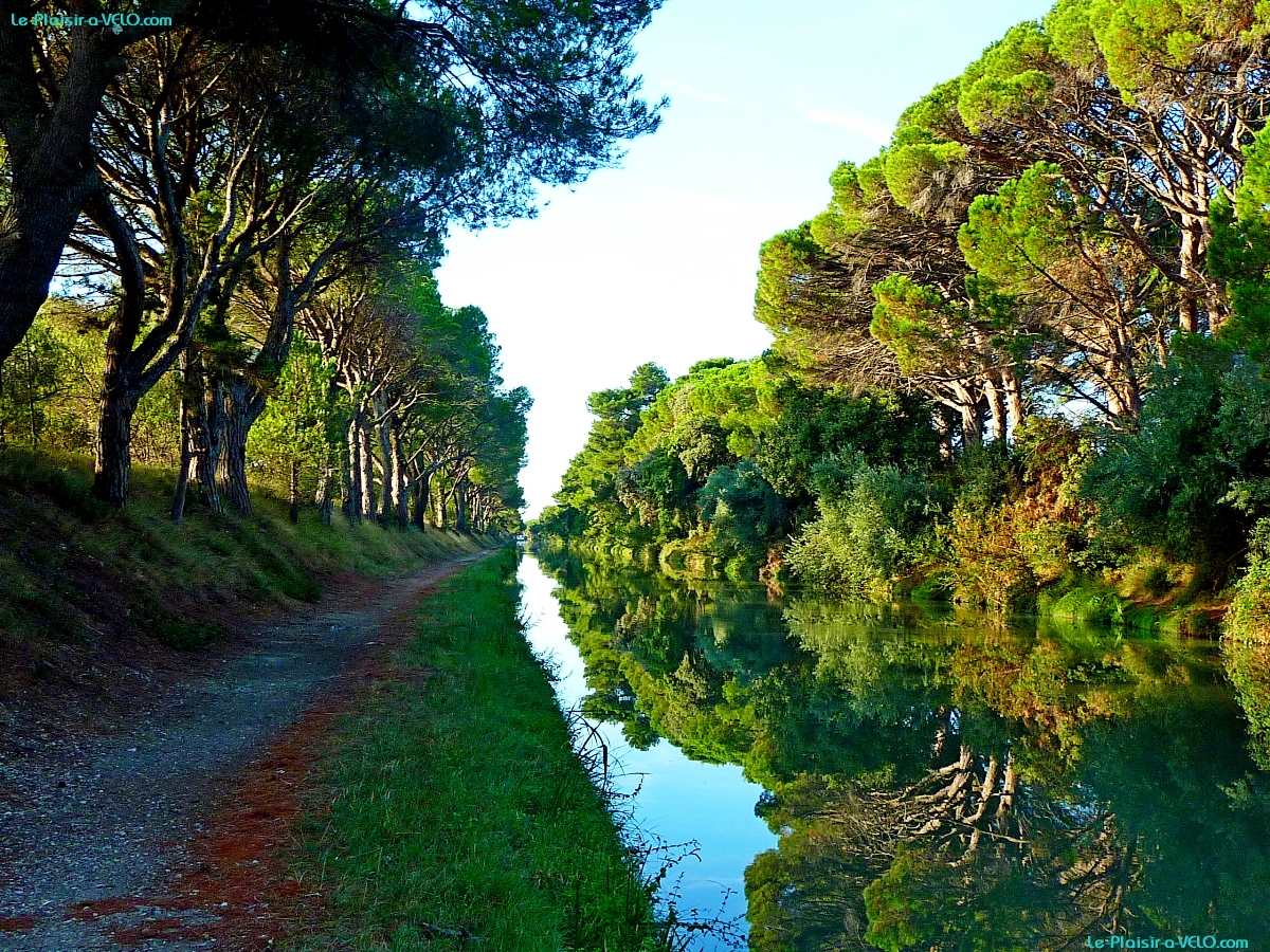 Canal du Midi - près Argeliers