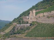 Bingen am Rhein - Ruine Burg Ehrenfels