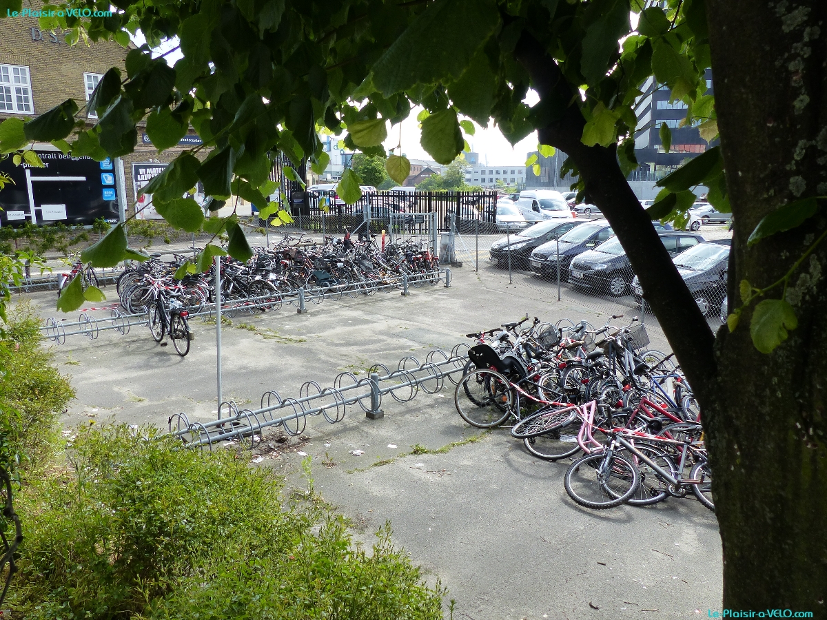 Aarhus - Service municipal de récupération des vélos abandonnés - Ah ! Certains Danois seraient-ils négligents avec leur vélo ?