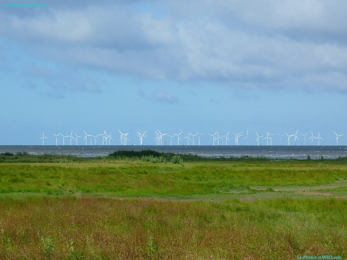Bunkeflostrand — ⑴ Milieu du champ d'éoliennes — ⑵ Hub concentrateur du champ d'éoliennes