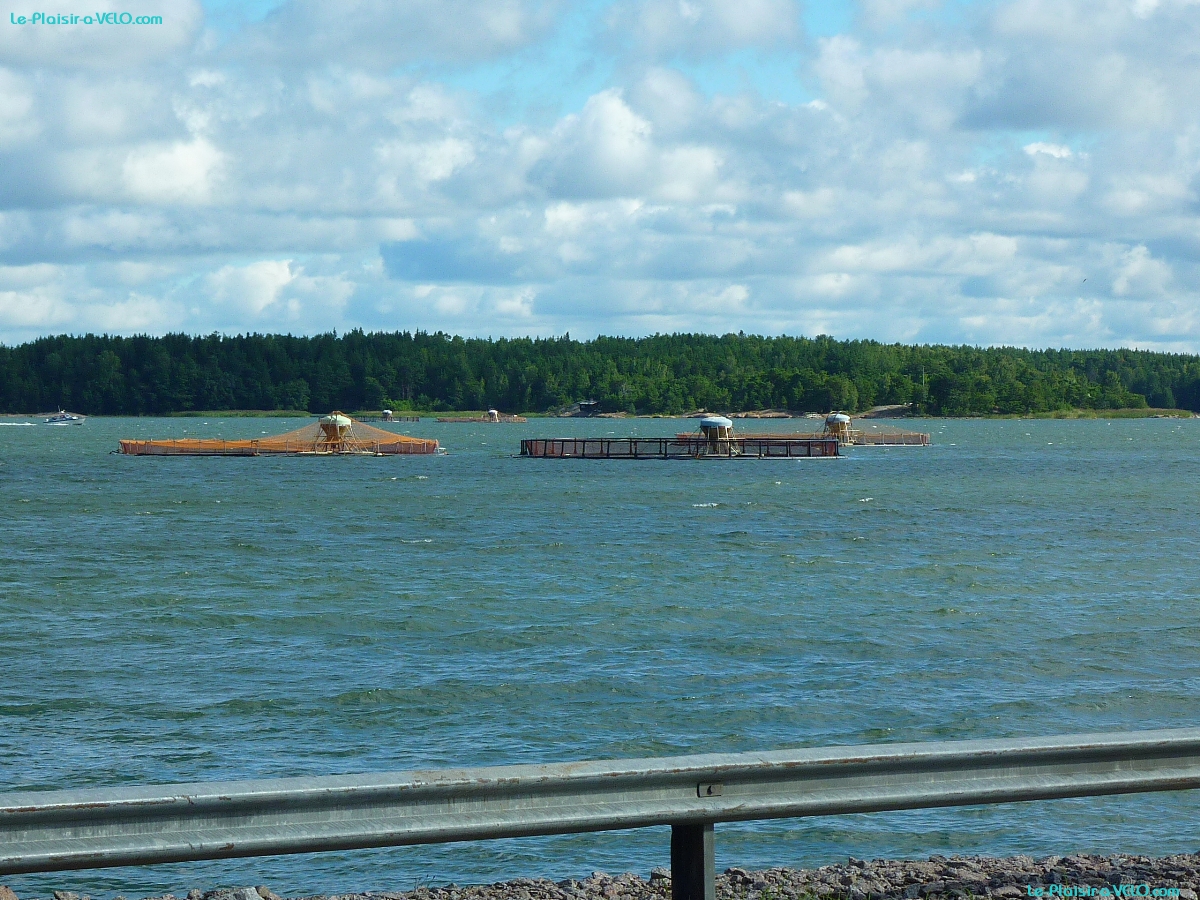 Archipel de Turku - Pohjametsä — ⑴ Aquaculture