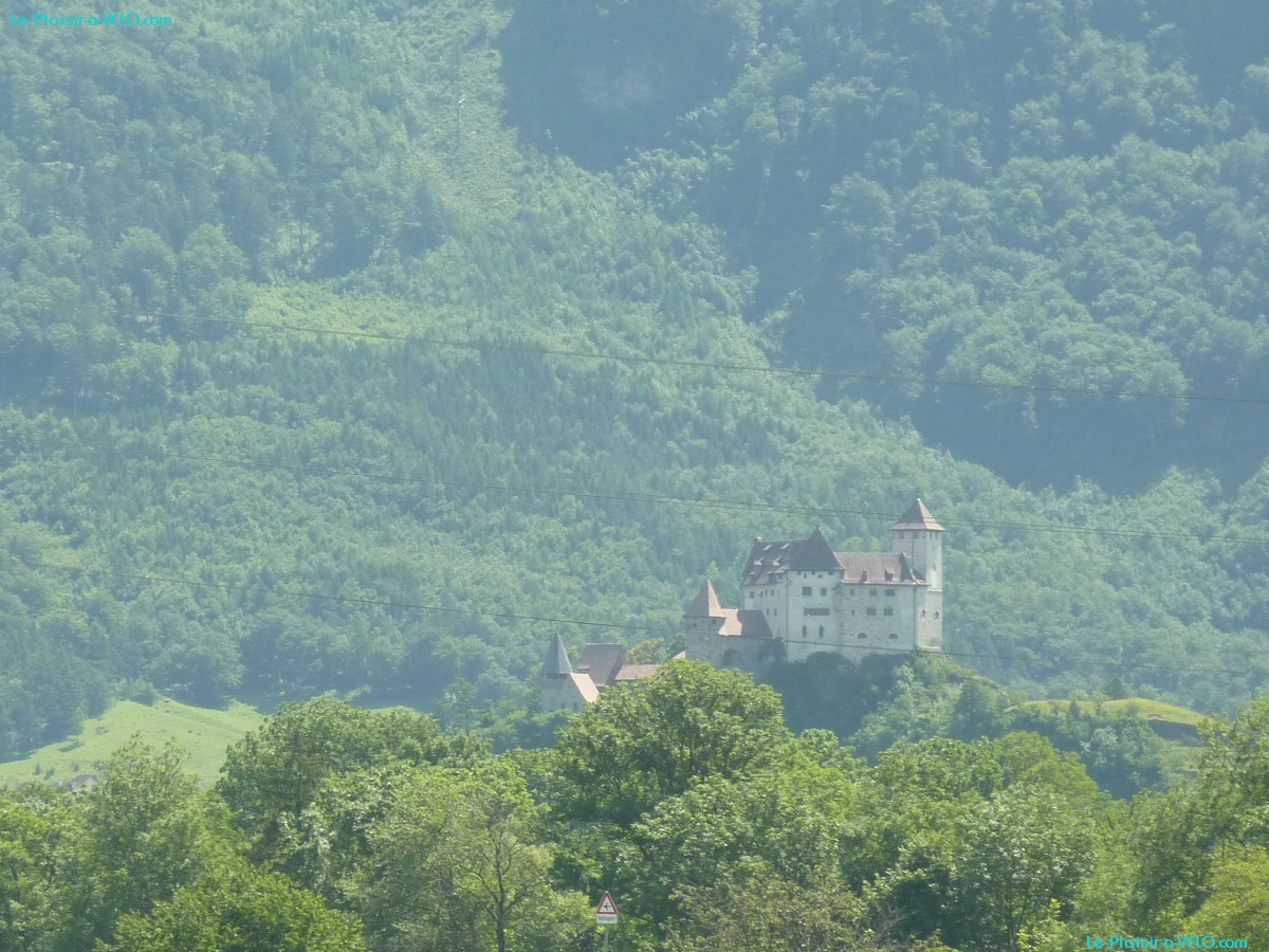 Le Rhin — ⑴ Burg Gutenberg (Lichtenstein en face)