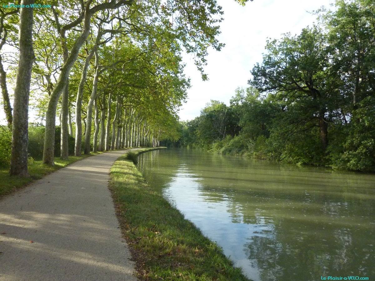 Canal du Midi - prÃ¨s Renneville