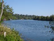 La Seine - Saint-Fargeau-Ponthierry