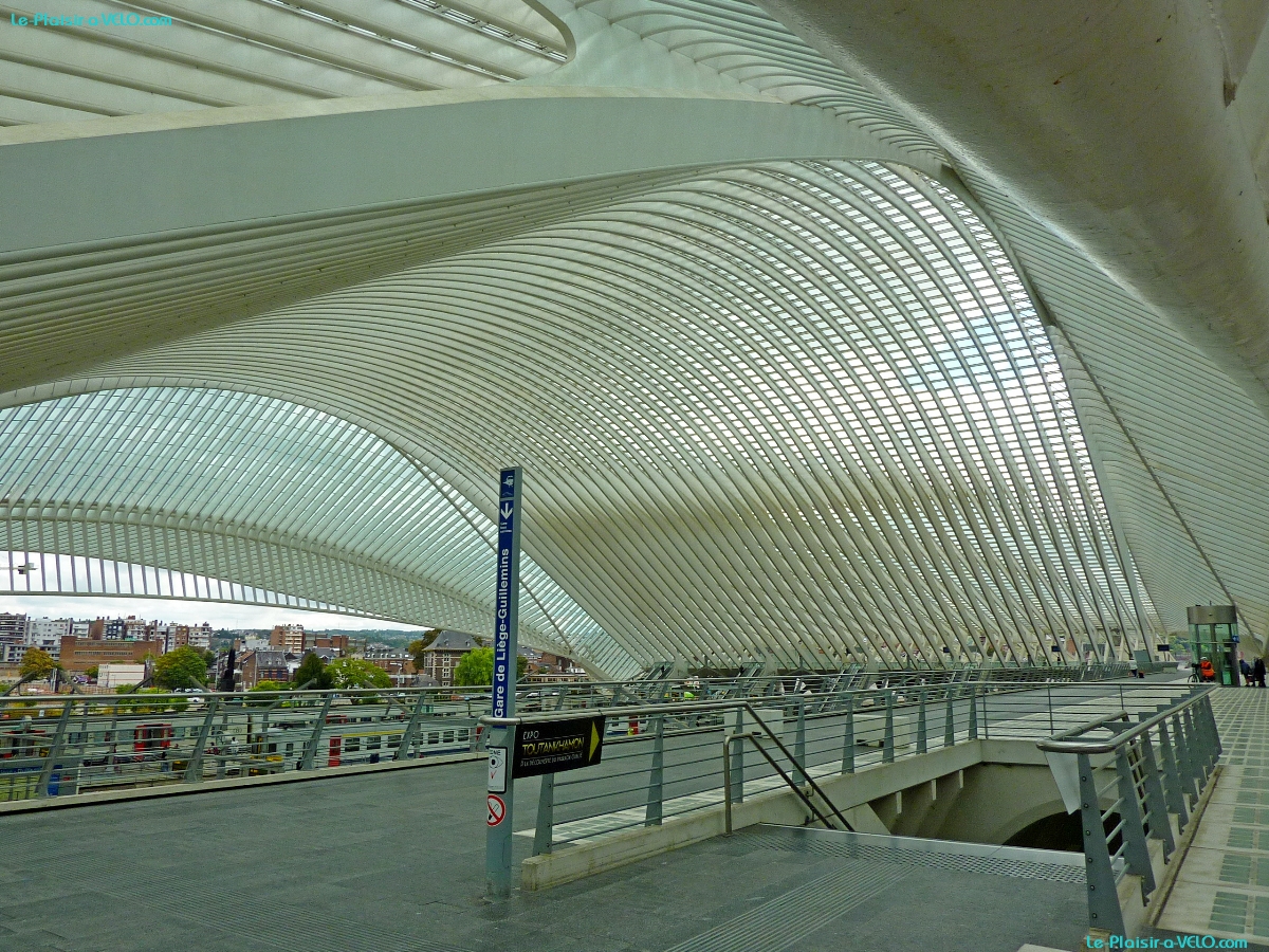 Gare de Liège-Guillemins