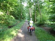 Sonchamp - Rue de l'Étang d'Or - Forêt de Rambouillet