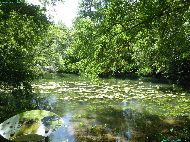 La Sèvre Niortaise près Niort