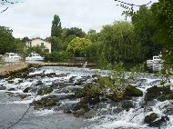 Châteauneuf-sur-Charente - Île Mattard