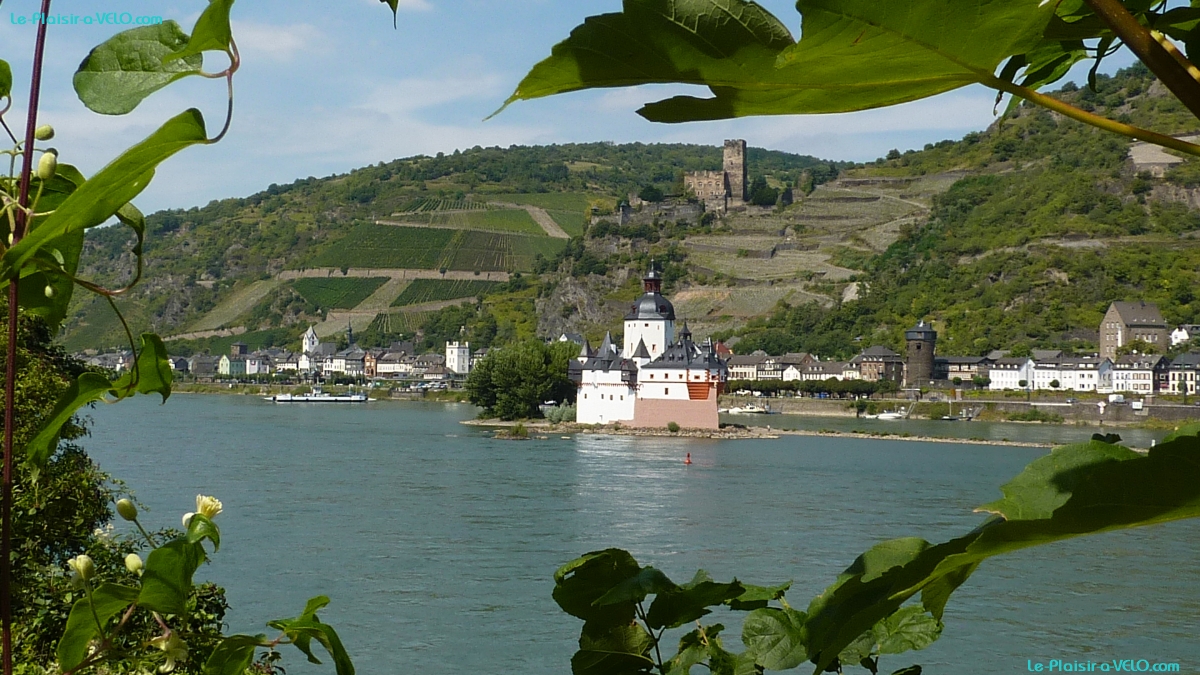 Kaub - Burg Pfalzgrafenstein - Burg Gutenfels am Rhein