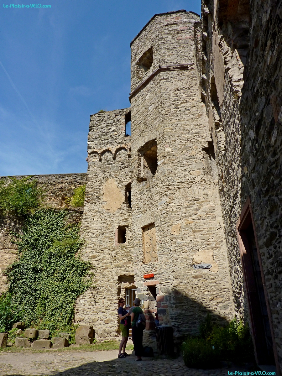 Sankt Goar - Burg Rheinfels