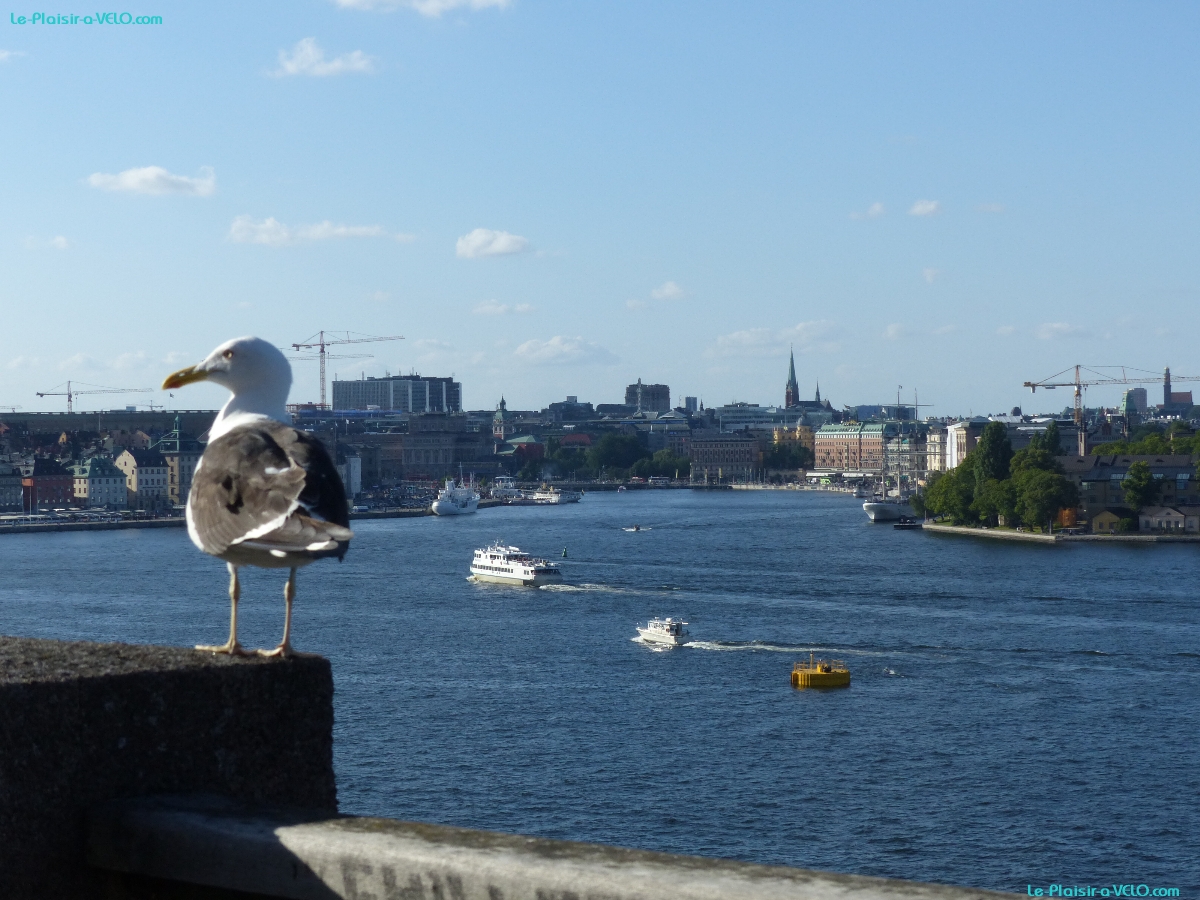 Stockholm - Fjällgatan View point