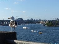 Stockholm - FjÃ¤llgatan View point