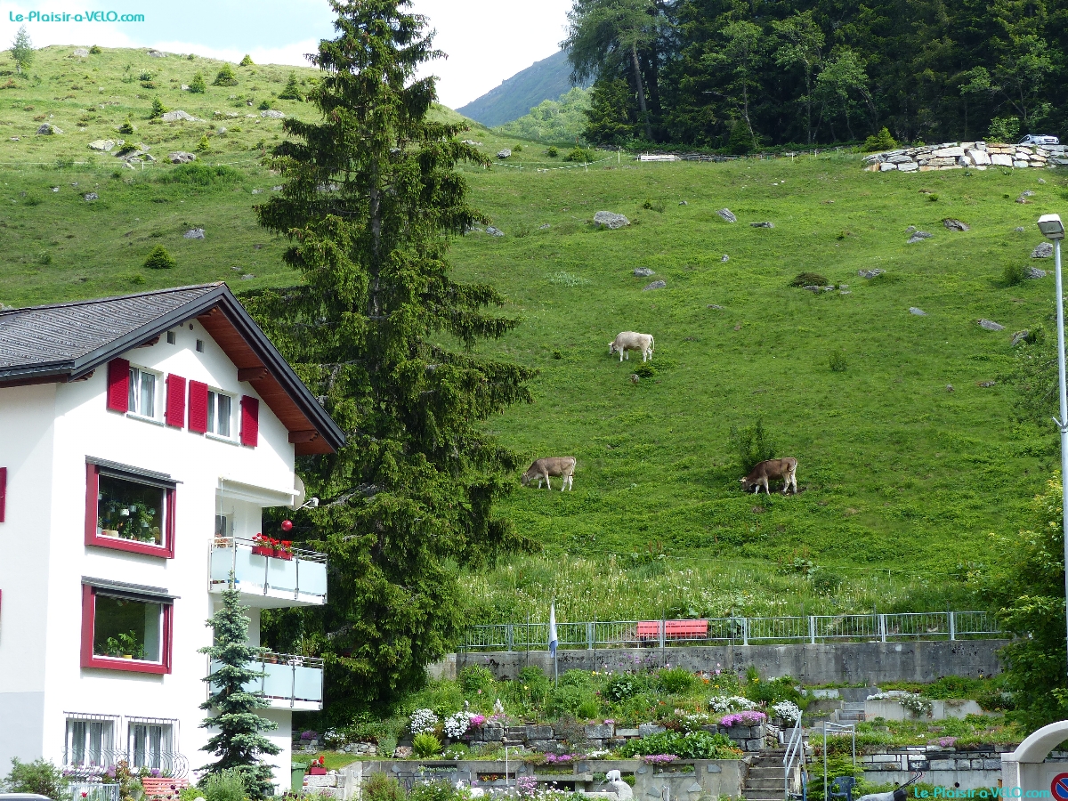 Andermatt (altitude 1450m)