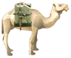 Camel Jerrycan