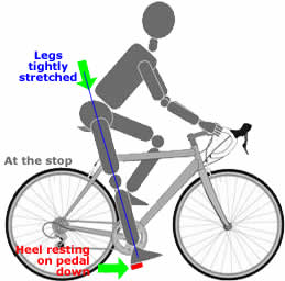 Saddle adjustment